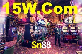 Sn88